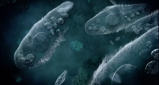 10 πράγματα που δεν γνωρίζετε για τα βακτήρια