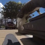 Η γάτα που κάνει τρελά κόλπα με skateboard και «σαρώνει» στο Youtube!