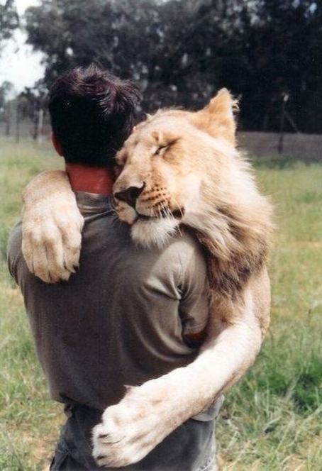 animal-hugs (5)