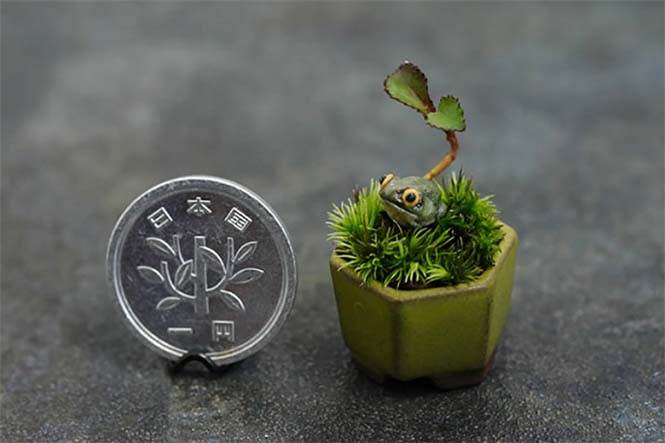 nea-moda-me-souper-mikroskopika-bonsai (9)